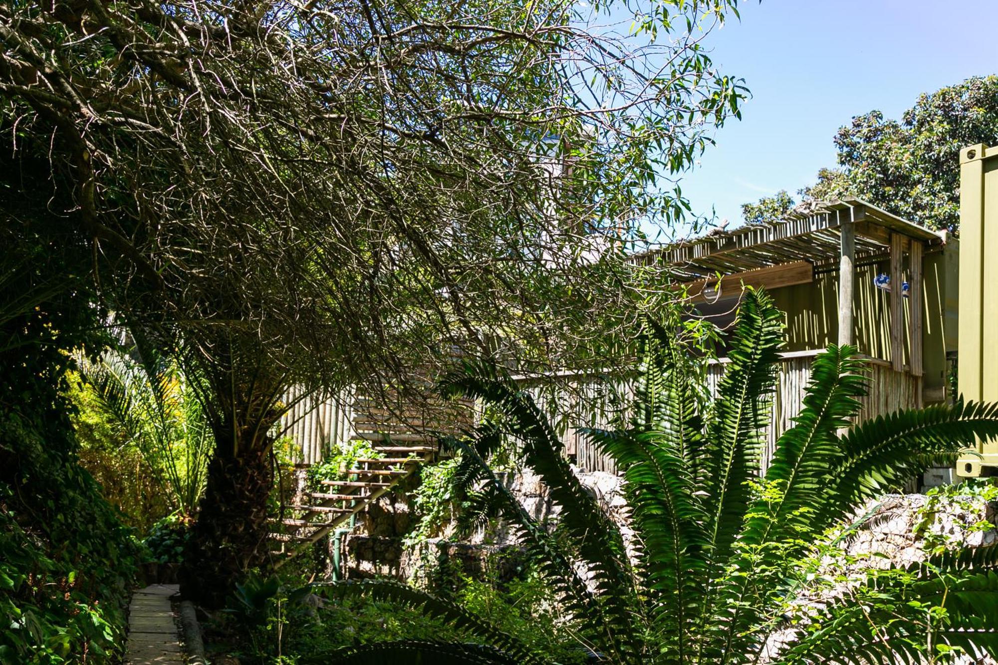Camps Bay Forest Pods Кейптаун Екстериор снимка